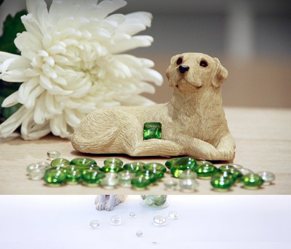 흰 국화 옆에 놓인 강아지 조각